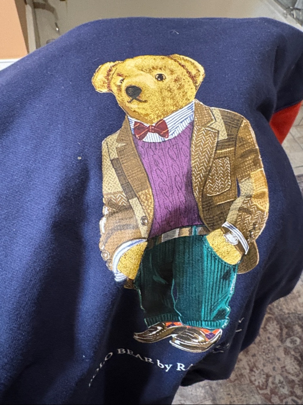 Polo Bear Colorblock Hoodie - Navy, Forest Green & Red - Picture 5 of 8